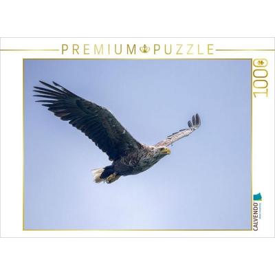 CALVENDO Puzzle Seeadler im Flug | 1000 Teile Lege-Größe 64x48cm Foto-Puzzle für glückliche Stunden