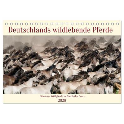 Deutschlands wildlebende Pferde (Tischkalender 2026 DIN A5 quer), CALVENDO Monatskalender