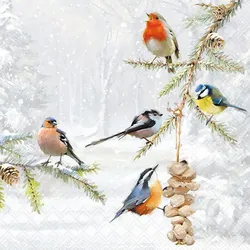 Ambiente 20 Servietten Papier 33x33cm 3-lag. - hochwertige Einweg Papierservietten mit Wintervögel Motiv Partyservietten Motivservietten Tischdeko