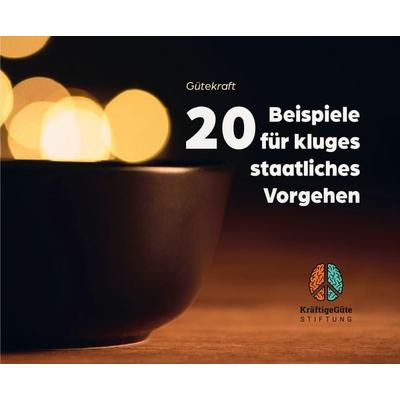 20 Beispiele für kluges staatliches Vorgehen, Gebundene Ausgabe von Lucia Oiro, Nova MD, 978-3-690-28680-0