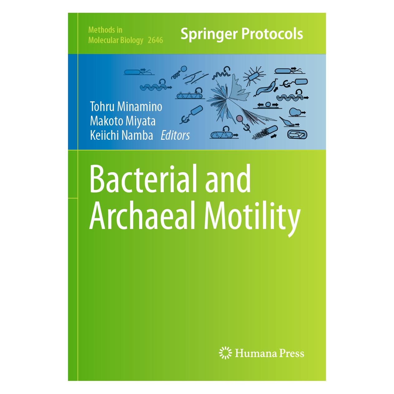 Springer Bacterial and Archaeal Motility (Englisch, Softcover, Keiichi Namba, Makoto Miyata, Tohru Minamino) (57013287)