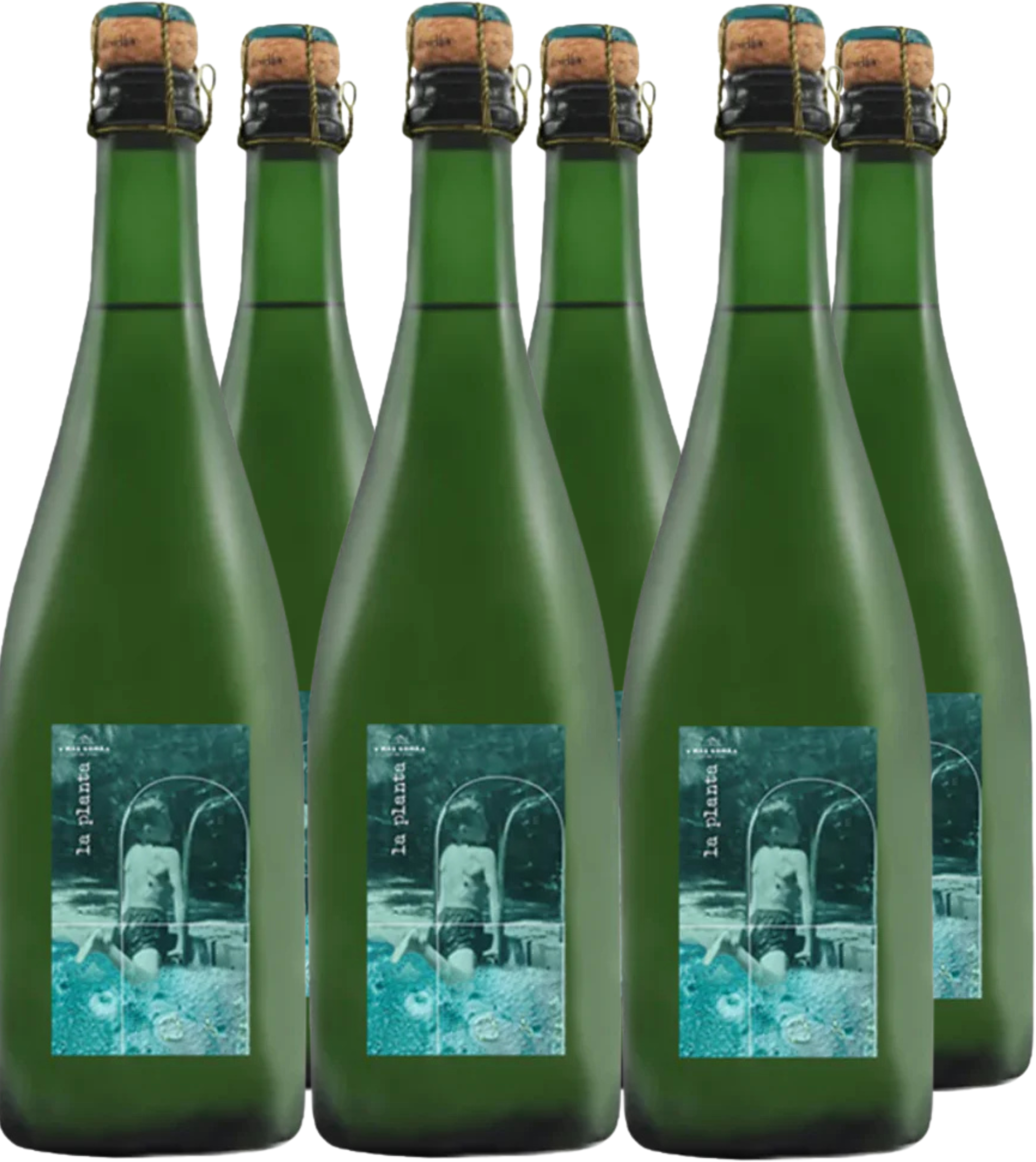 Mas Gomà Wine Box Spumante 'La Planta' (6bt)