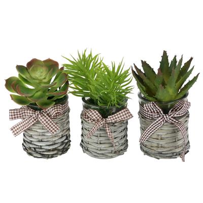 Kunstblume I.GE.A. "Künstliche Sukkulenten im Topf 3er Set 15cm Agave Aloe Vera Pflanze", grün, B:12cm H:15cm T:12cm, Obermaterial: 90% Kunststoff, 10% sonstige Fasern, Kunstpflanzen, Kunstkaktus Kaktus Pflanze Deko Dekopflanze Kalanchoe Zimmerpflanze