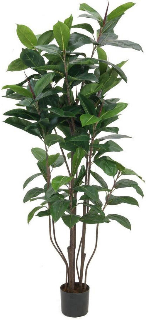 Europalms Gummibaum, 150cm