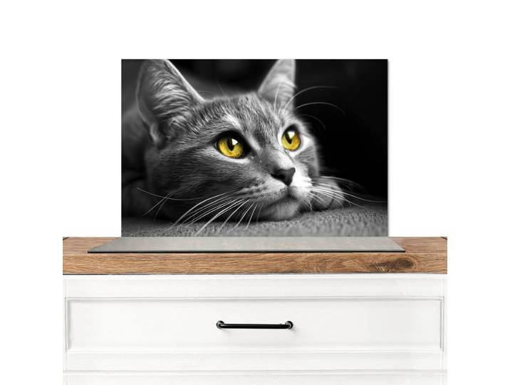 MuchoWow Spritzschutz Küche Katze - Grau - Tiere - Katze 60x40 cm, Metall, Rechteckig, 60x0.3x40 cm, rostfrei, Küchenzubehör, Küchenhelfer, Küchenutensilien
