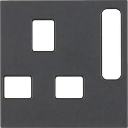 Berker Zentralstück British Std. 3313071606