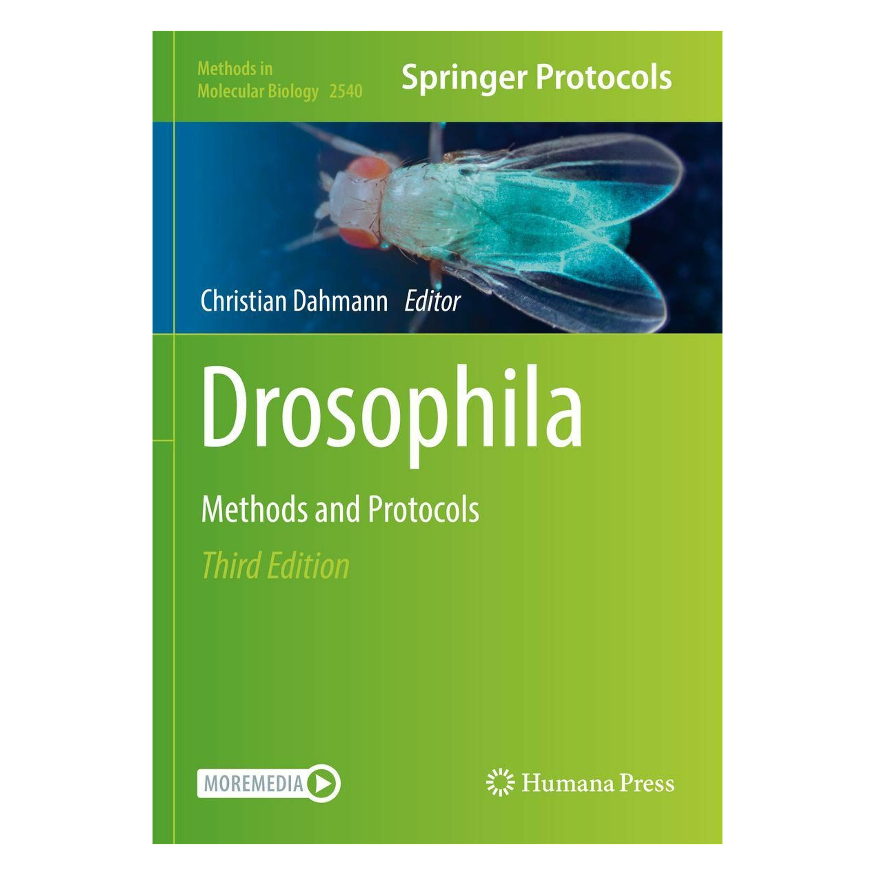 Springer Drosophila (Englisch, Softcover, Christian Dahmann) (56961958)