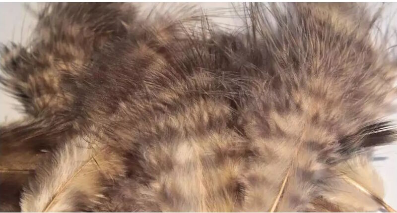FlyCo Hareline Grizzly Marabou-Tan