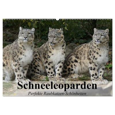 Schneeleoparden. Perfekte Raubkatzen-Schönheiten (Wandkalender 2027 DIN A2 quer), CALVENDO Monatskalender