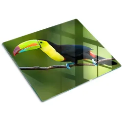 GLASPLATTE 60x52 cm Tukan