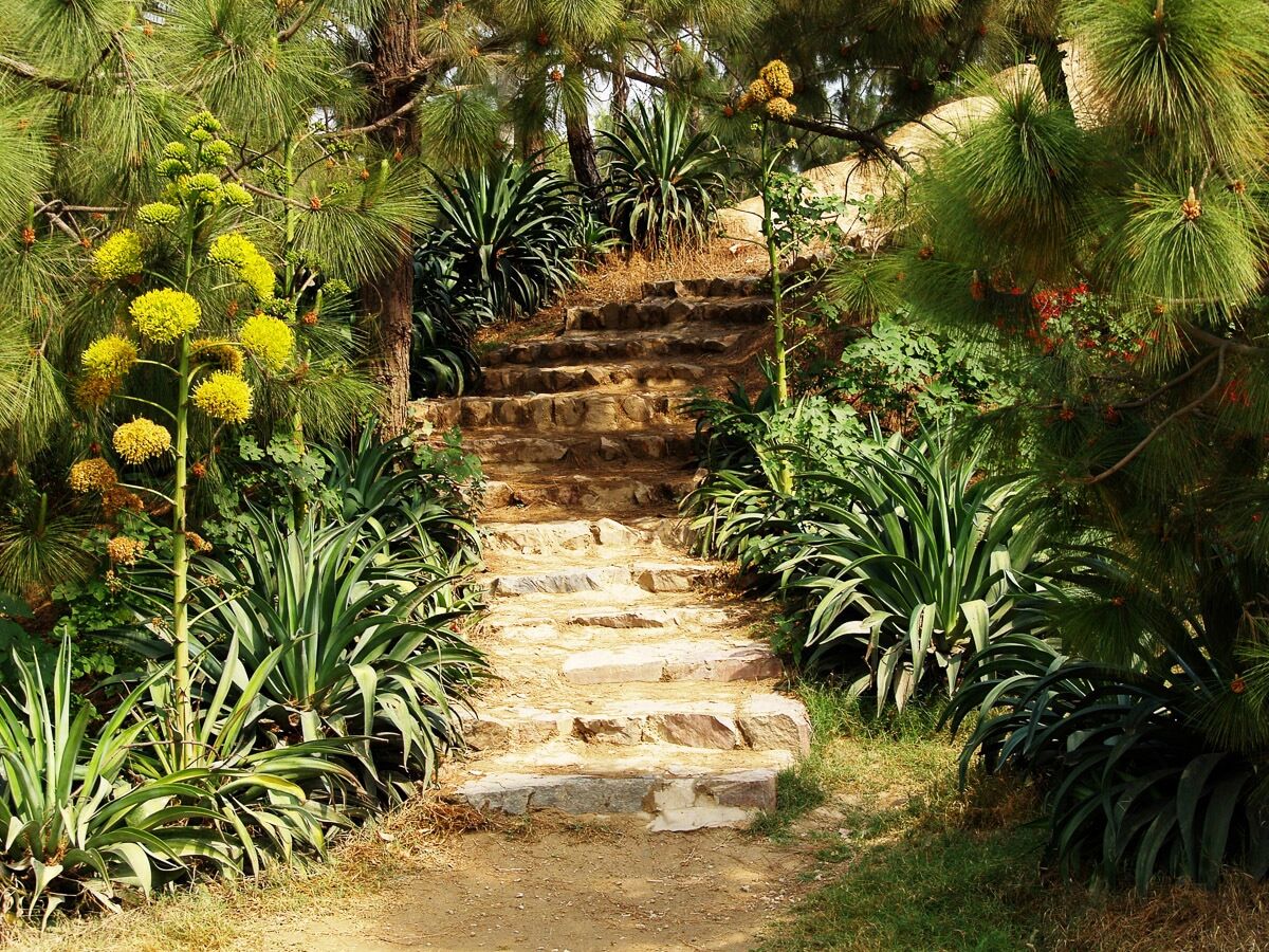 Fototapete PAPERMOON "Hill Garden", bunt, B:3m L:2,2m, Vlies, Tapeten, Fototapete bunt B/L: 3m x 2,2m, Rollen: 1