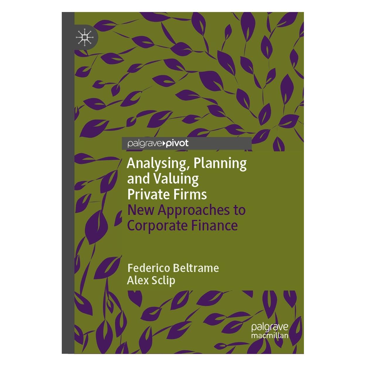 Springer Analysing, Planning and Valuing Private Firms (Englisch, Hardcover, Alex Sclip, Federico Beltrame) (9783031380884)