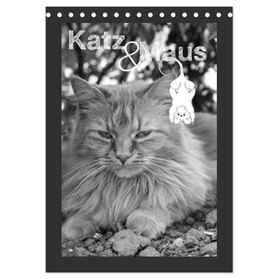 Katz & Maus (Tischkalender 2027 DIN A5 hoch), CALVENDO Monatskalender