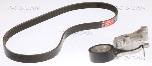 Triscan Keilrippenriemensatz 8642 28029 Für Peugeot Ds