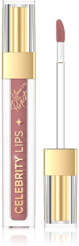 Eveline Cosmetics Celebrity Lips long-lasting matt liquid lipstick shade 04C 4 ml