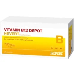 VITAMIN B12 DEPOT Hevert Ampullen 100X2 ml