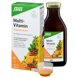 Salus Multi-Vitamin-Energetikum bio 250ml
