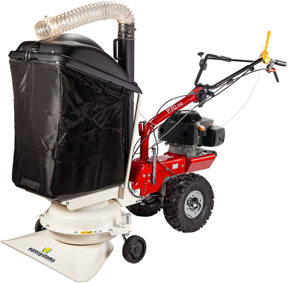 Eurosystems P70 EVO - Aspirafoglie a scoppio - Loncin 224 OHV