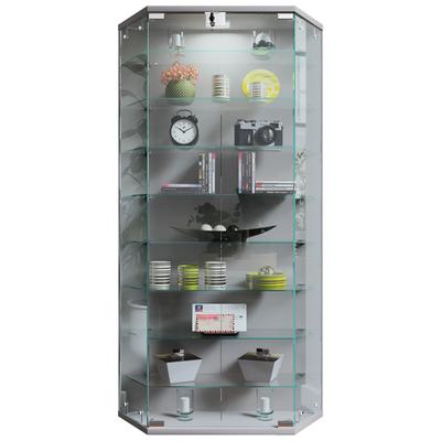 Wandregal VCM "Wandvitrine Hängevitrine Glasvitrine Benila XL", silber, B:83cm T:17cm, Regale, Wandregal