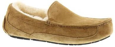 UGG Ascot - Mens 9 Brown Slipper Medium