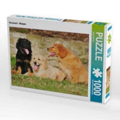 CALVENDO Puzzle Hovawart - Welpen 1000 Teile Lege-Größe 64 x 48 cm Foto-Puzzle Bild von Sigrid Starick