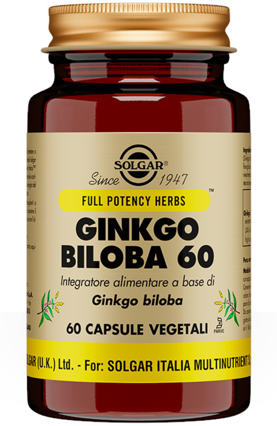 SOLGAR Ginkgo Biloba 60 60 Capsule Vegetali 