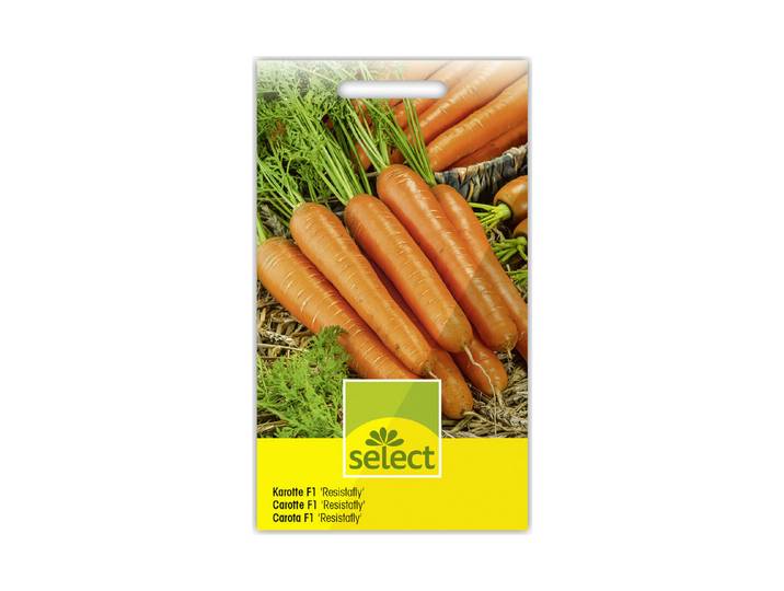 Select Karotte Resistafly