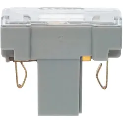 Berker Glimmaggregat mit N-Klemme, Modul Einsatz, IP44, grau - 1675