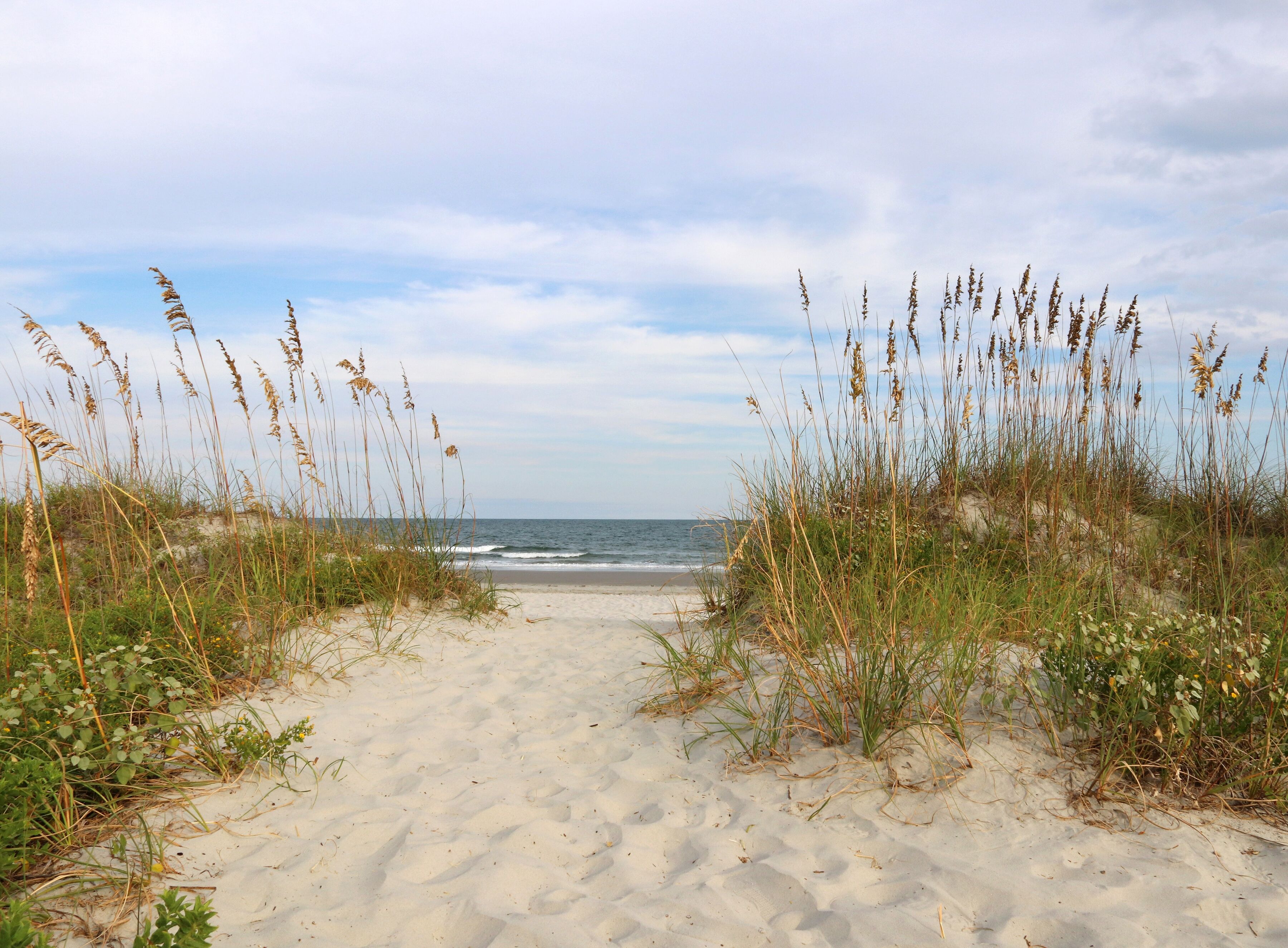 Fototapete PAPERMOON "Dunes Huntington Beach", bunt, B:4m L:2,6m, Vlies, Tapeten, Fototapete bunt B/L: 4m x 2,6m, Bahnen: 8 Stk.