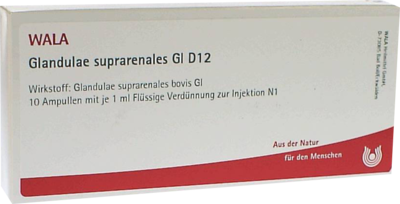 WALA Heilmittel GmbH GLANDULAE SUPRARENALES GL D 12 Ampullen 10X1 ml 03356803
