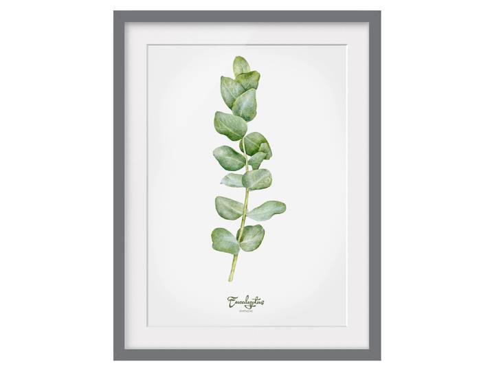 Impression aquarelle Eucalyptus III Pin massif, verni mat Vert 30 x 40cm