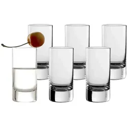 SCHNAPSGLÄSER New York Bar transparent 55 ml 6er Set