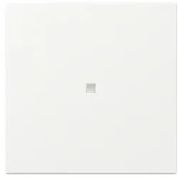 Gira Wippe gerade Kontrollf. 349027