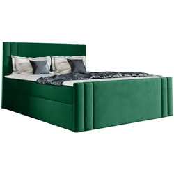 BOXBETT Carmen - H3