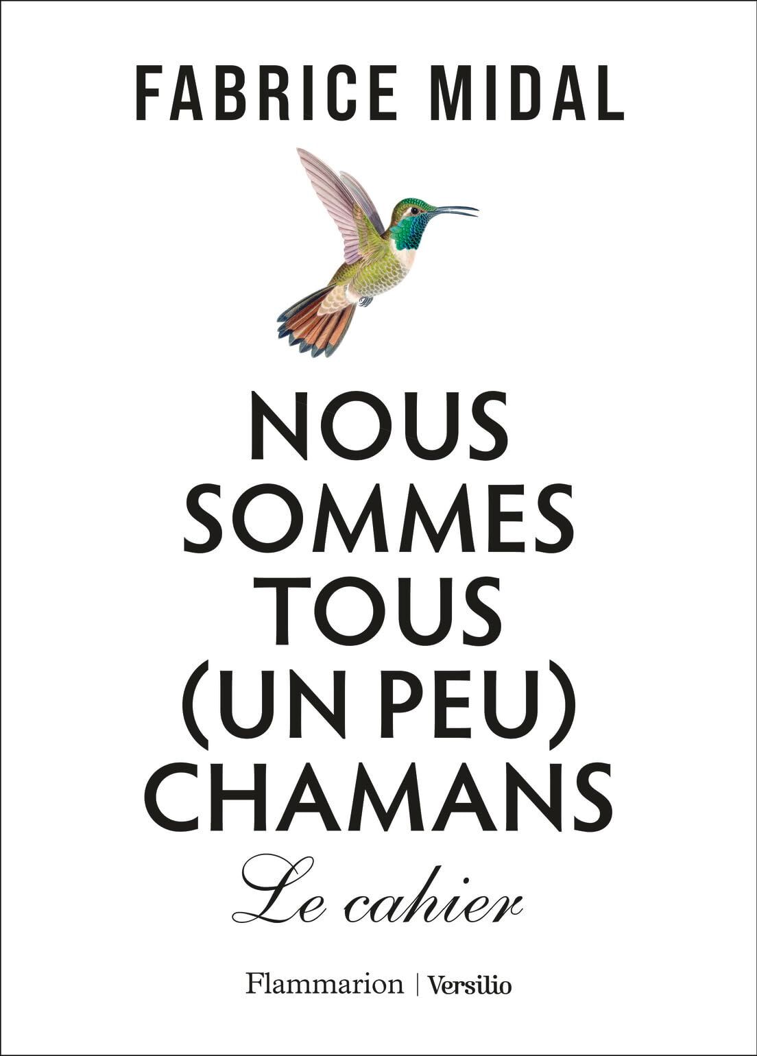 Fabrice Midal - Nous sommes tous (un peu) chamans : le cahier - Preis vom 12.10.2026 11:37:12 h