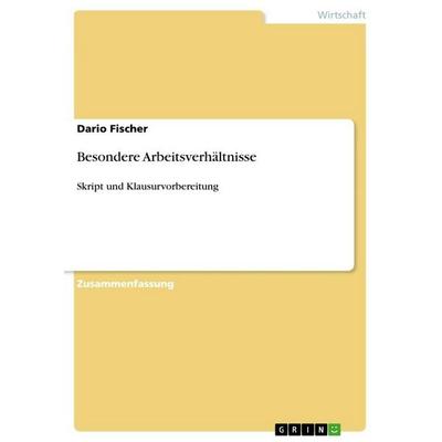 Besondere Arbeitsverhältnisse, Taschenbuch von Dario Fischer, GRIN, 978-3-656-73675-2