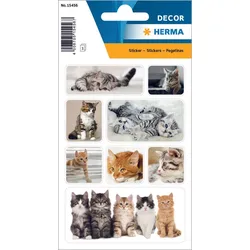 HERMA Aufkleber Katzen