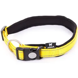 Arka L (60, Hund, Spazieren), Halsband + Leine