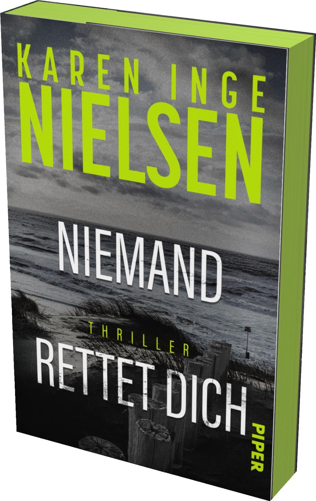 Nielsen, Karen Inge - Niemand rettet dich (Grenzland 3): Thriller Mit limitiertem Farbschnitt Dunkle Morde im Grenzland Die Thriller-Sensation aus Dänemark - Preis vom 11.10.2026 03:10:56 h