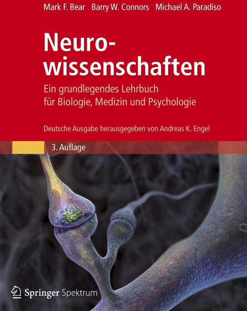 Bear, Mark F. - Neurowissenschaften - Ein grundlegendes Lehrbuch für Biologie, Medizin und Psychologie - Preis vom 09.10.2026 07:28:09 h