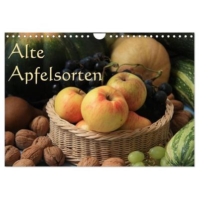 Alte Apfelsorten (Wandkalender 2026 DIN A4 quer), CALVENDO Monatskalender