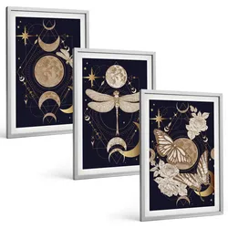 BILDER SET 3er Set - 40x60 cm Silberner Rahmen - Naturmotive Mondblumen
