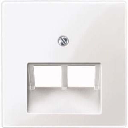 Merten Plaque centrale pws/gl pour insert UAE 2f. 296119 (296119)