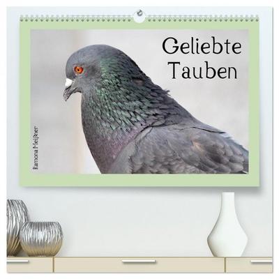 Geliebte Tauben (hochwertiger Premium Wandkalender 2026 DIN A2 quer), Kunstdruck in Hochglanz
