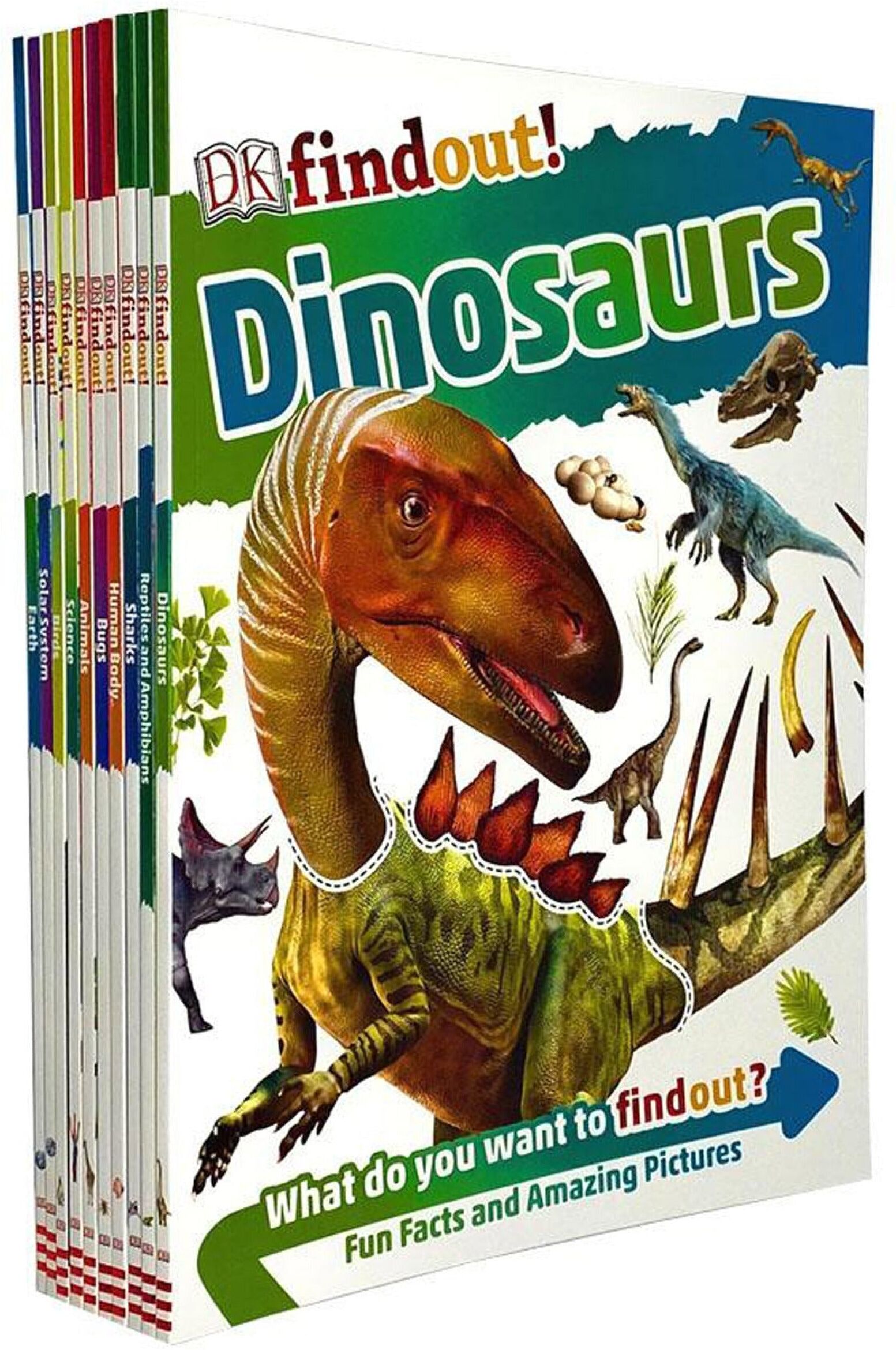 Dk Findout Series With Fun Facts And Amazing Pictures 10 Books Collection Set