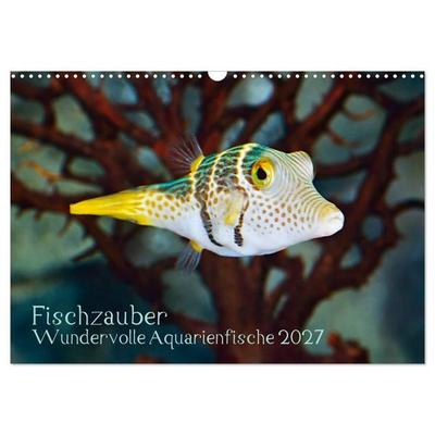 Fischzauber - Wundervolle Aquarienfische (Wandkalender 2027 DIN A3 quer), CALVENDO Monatskalender