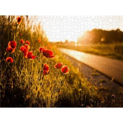 CALVENDO Puzzle Mohnblumen am Radweg zwischen Heßdorf und Großenseebach 1000 Teile Puzzle quer | 1000 Teile Lege-Größe 64 × 48 cm Foto-Puzzle für