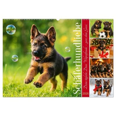 Schäferhundliebe - Deine tägliche Dosis Welpenfreude – ganz ohne Gassi. (Wandkalender 2026 DIN A2 quer), CALVENDO Monatskalender