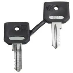Schneider Electric Ersatzschlüssel f. Schlüsselschalter 8D1 PK=2Stck
