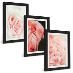 BILDER SET 3er Set - 20x30 cm Schwarzer Rahmen - Zartrosa Flamingos